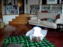 Zoe does a somersault