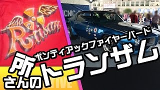 所さんのトランザム　世田谷ベース2014アメリカンピクニックデイ「ポンティアック ファイヤーバード トランザム」