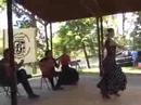 International Friendship Festival