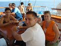 Sarti 2008. Sarti 2008.