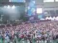 Zebrahead-Summer-Son