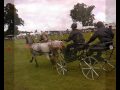 country show