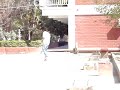 Kco patinando