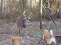 doggone mr  deer part ii