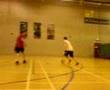 David (Animal) V\'s calif (ivan)