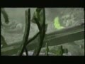 videos de AVP Sanctuary.wmv