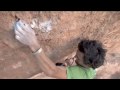 PeakPerformance [Catching Reality]