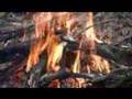 BlackTail Bucks HawkeyeBilt Archery Bowhunting Oregon Deer