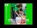 PATRULLA ECOLOGICA ESCOLAR