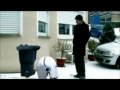 Interactive Media Design Showreel 2008-9