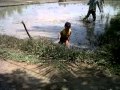 Video bokep buaya Video bokep buaya