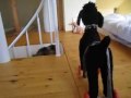 P�ris tutvub