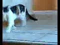 Decapitation