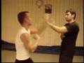 Ving Tsun and M.M.A. (freefight technics)