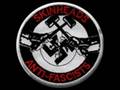 Skinhead anti fascist
