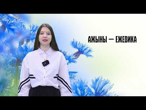 Родная мова. 18 выпуск. 26.04.26
