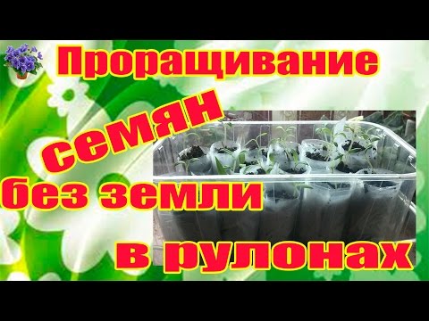 YouTube Трейлер