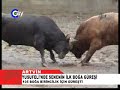 ARTV?N BO?A GÜRE?LER? ARTV?N BO?A GÜRE?LER?