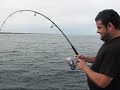paco pesca dos peces limon paco pesca dos peces limon