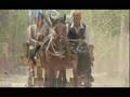 East Turkestan/Xinjiang/CHARCHAN