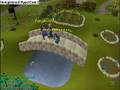 Punjabi's-in-Runescape