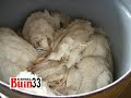  abandona de animales