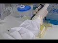 Vacina contra AIDS desenvolvida no Brasil Vacina contra AIDS desenvolvida no Brasil