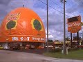 Diane Keaton & Leo Di Caprio