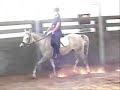 Arabian horse: Mazuna\
