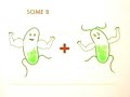 Super Bugs -- Bacterial Drug Resistance - free flv video @ vwatch.tv