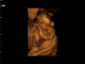 videos de Davids Princess 2