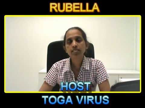 how to cure rubella igg