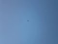A Jet Air Show Right Over My Head!