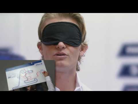 2009 Shanghai Grand Prix preview