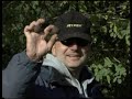 Jet Fish Tour vol.1 - Zwiastun