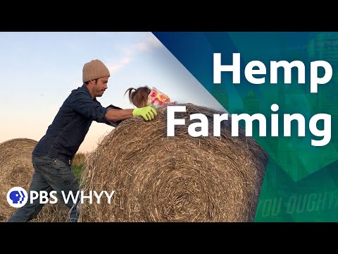 video-linktoworks-Hemp Farming - You Oughta Know (2020)
