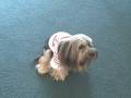 vid9 grandbaby