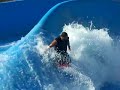 surfing wild wadi