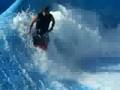 surfing wild wadi