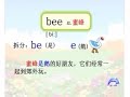 08/08/29 ???? 9-bee ????