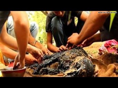 how to dissolve vegetable oil
