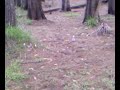 sparkla explosion sparkla explosion