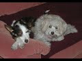 El Antes y el Despu�s 1� Parte