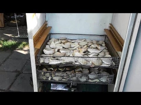 Как своими руками сделать сушилку для грибов Как своими руками сделать сушилку для грибов