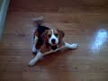 Tiny Tim\