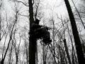videos de Leland Hardy Deer Hunt - Hardy In Tree Stand w/ Big Buck in Area