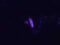 a video from the fratellis gig at the queen margaret union in glasgow, on the 22nd febuary 2008. the song, mistress mabel, is from their new album called here we stand which will be released on the 9th of june.