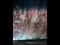 Getting the car washed