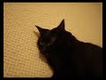 Langing about on 05/01/2008 @ 2:00AM