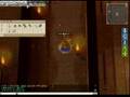 Ragnarok Online Lord Knight - Frenzy